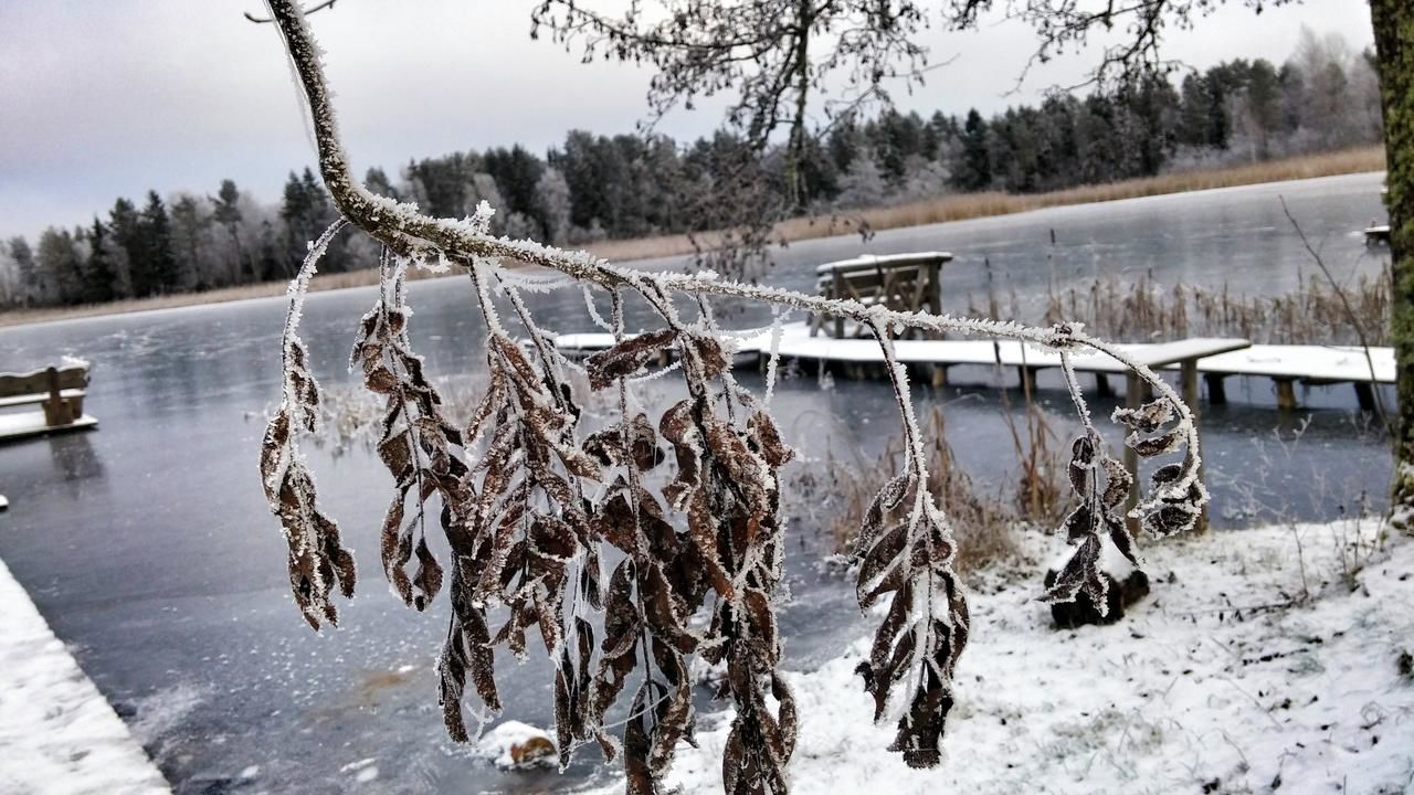 Загородные дома Trainiškio pirkia Ginučiai-33